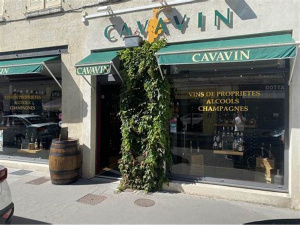 Cavavin