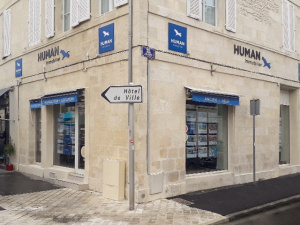Human Immobilier
